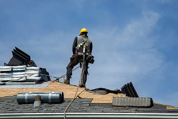 Professional Roof Repair technician working in Downs, IL